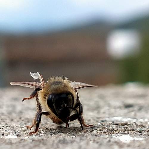 Photo #9060875