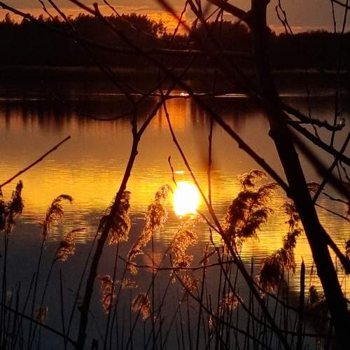 Photo #9061870