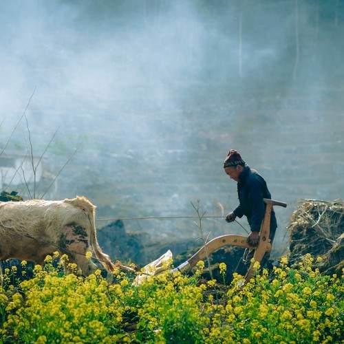 Photo #9062115