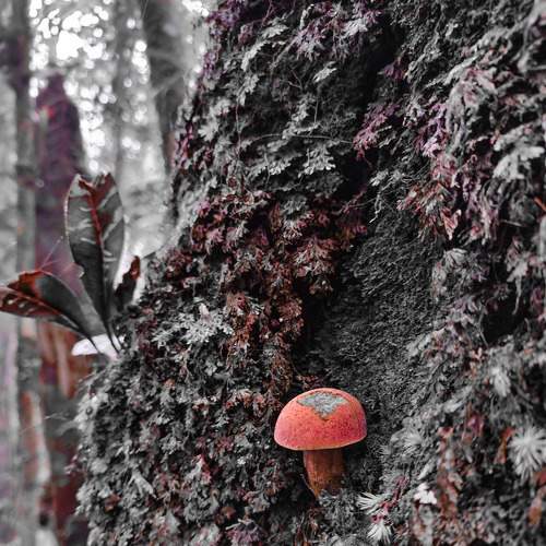 Photo #9062804
