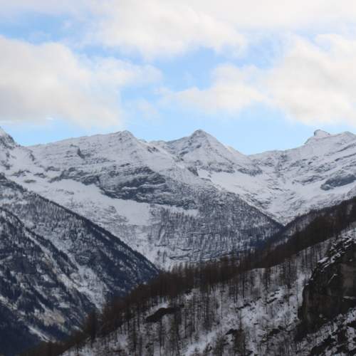 Photo #9063016