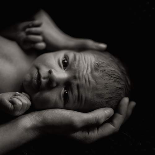 Photo #9063151