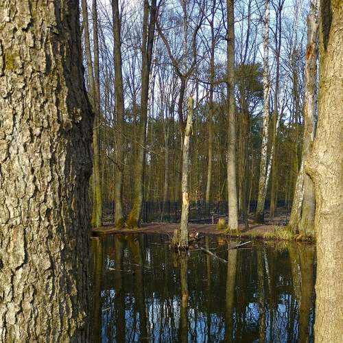 Photo #9064159