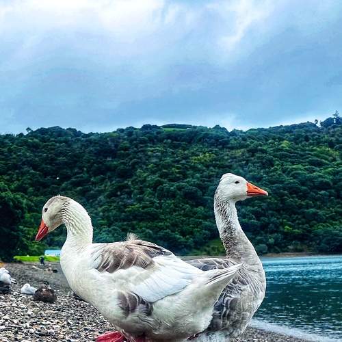 Photo #9064765
