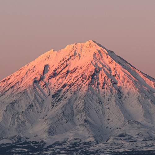 Photo #9065288