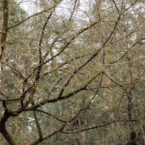 Photo #9065402