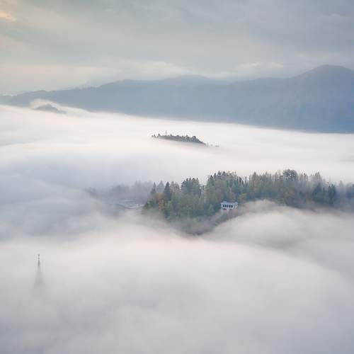 Photo #9066297