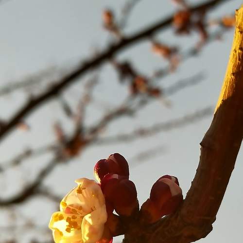 Photo #9066457