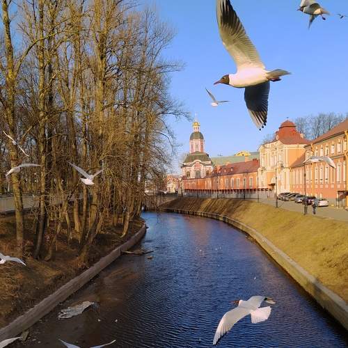 Весенний день