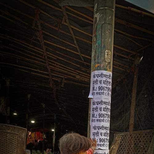 Photo #9067332