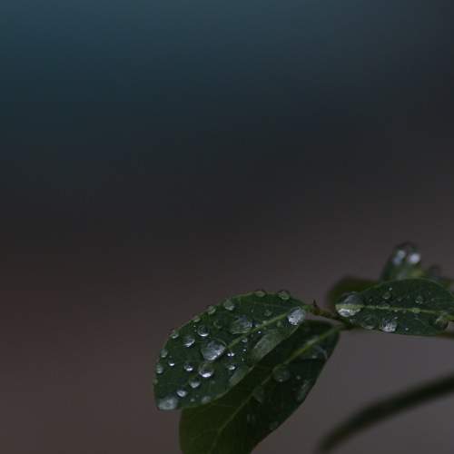 Photo #9067703