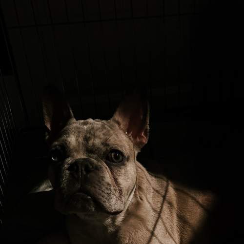 Photo #9067866