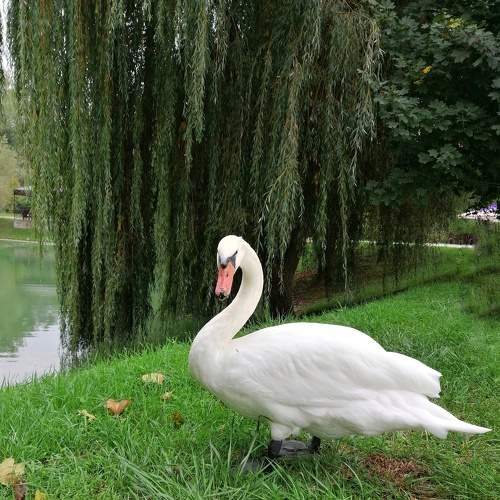 Photo #9068626
