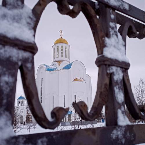 Photo #9068665