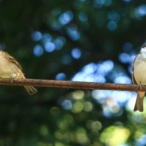 Photo #9068880