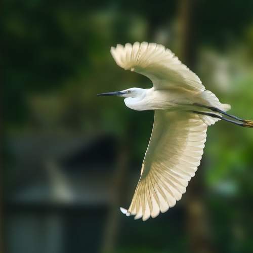 Photo #9069070