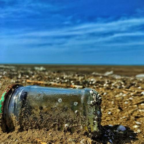 Photo #9069510