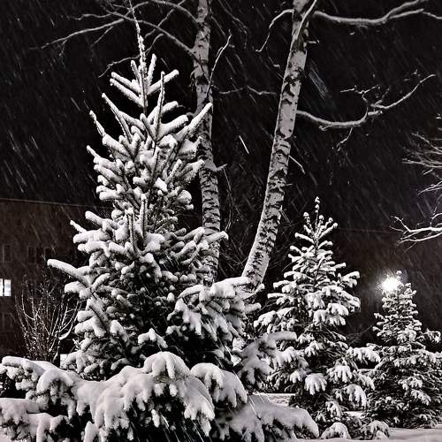 Photo #9069544