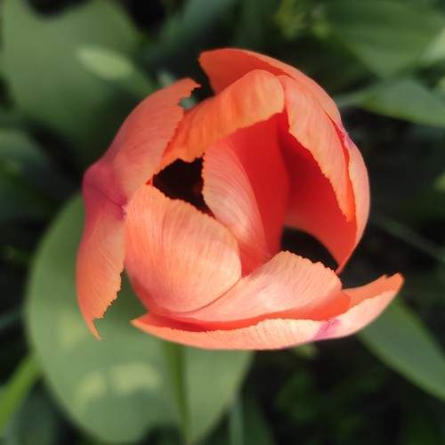 Photo #9069837
