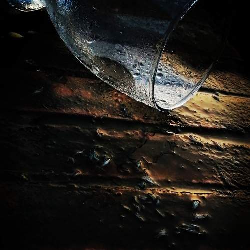 Photo #9070671