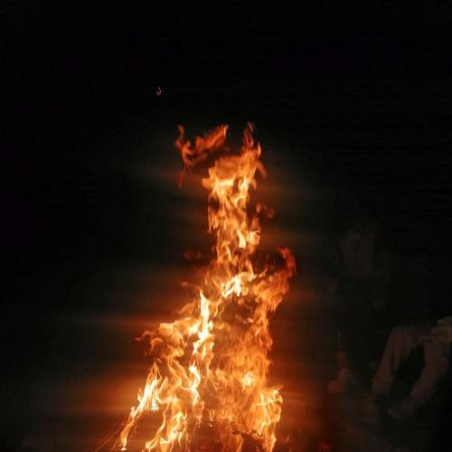 Photo #9070672