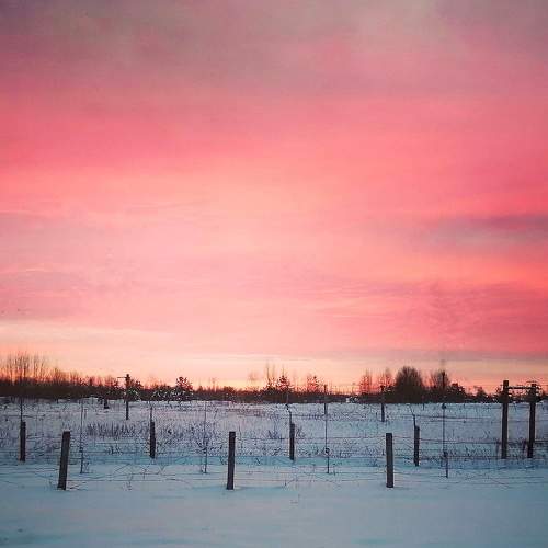 Photo #9070905