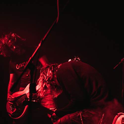 Photo #9071718