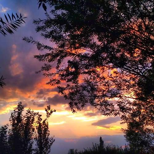 Photo #9071767