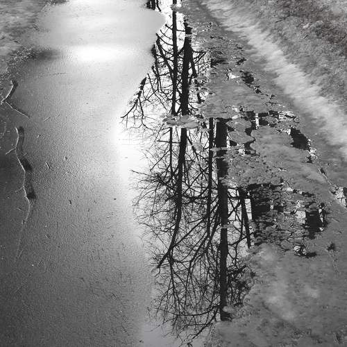 The mirror of spring