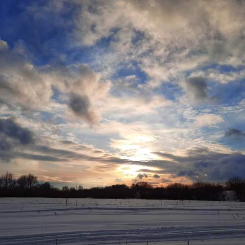 Photo #9072645