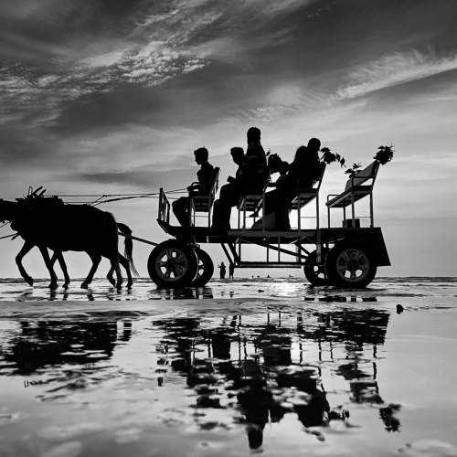Horse carriage