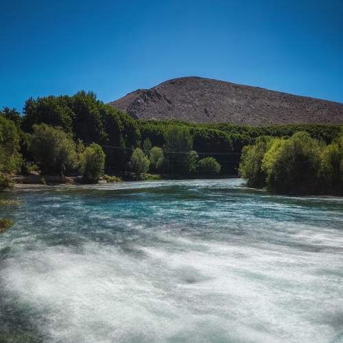Photo #9073702