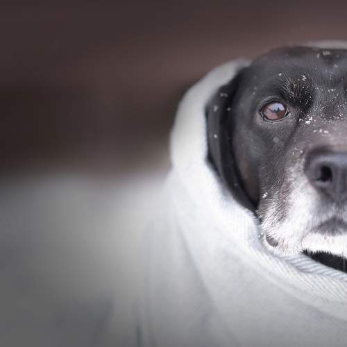 Photo #9073857