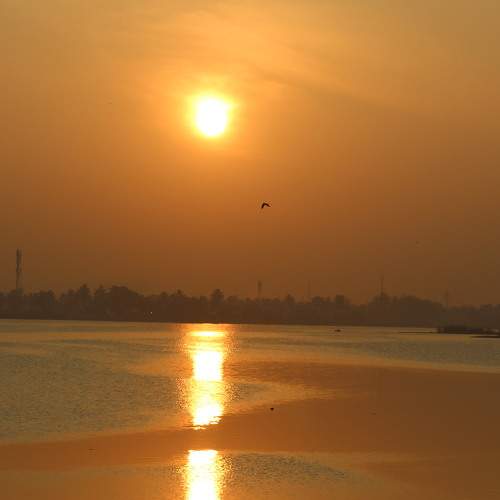 Photo #9073919