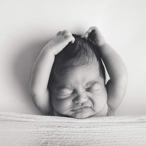 Photo #9074408
