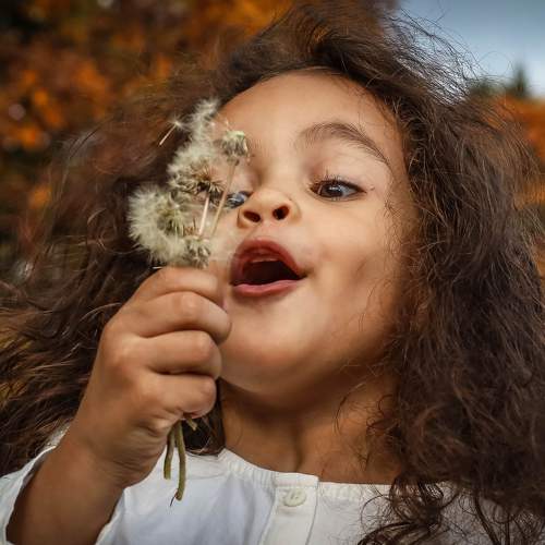 Photo #9074644