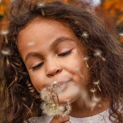 Photo #9074645
