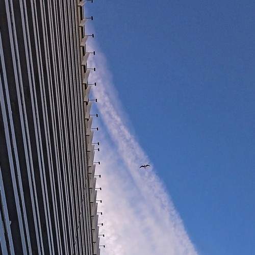 Photo #9074814