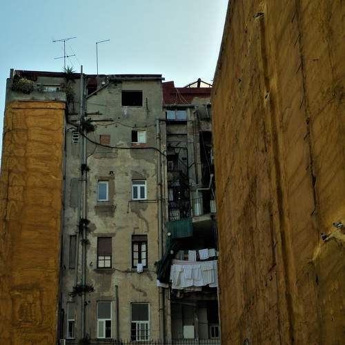 Photo #9074837