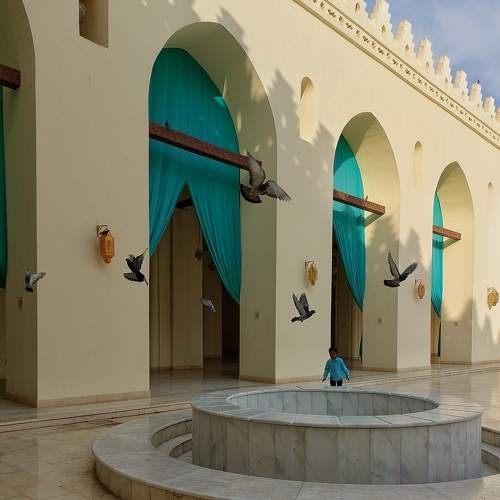Photo #9074869