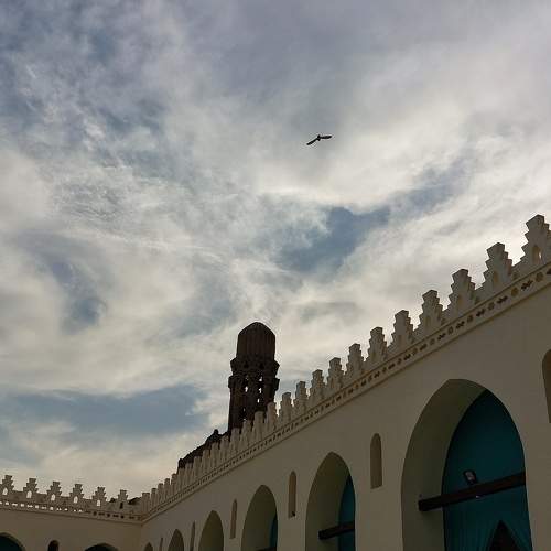 Photo #9074870