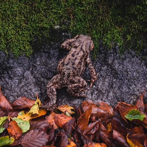 Photo #9075112