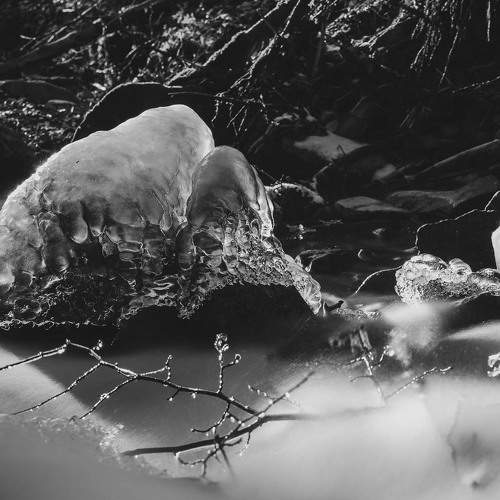 Photo #9075382