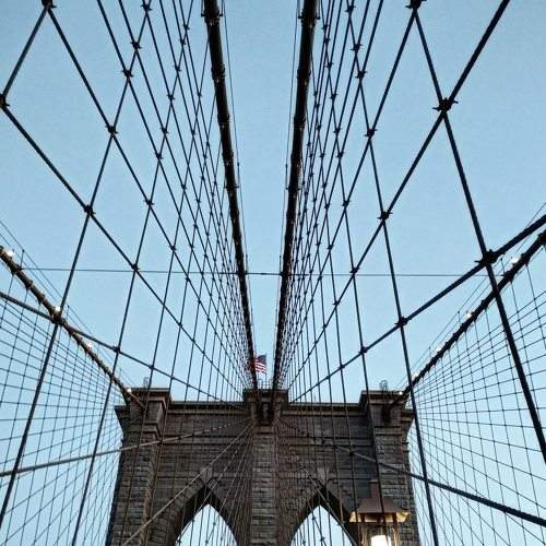 Photo #9075495