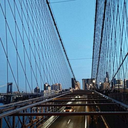 Photo #9075496