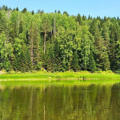 Photo #9075818