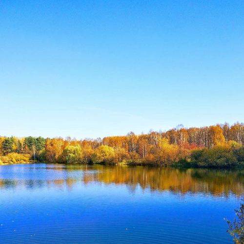 Photo #9075819