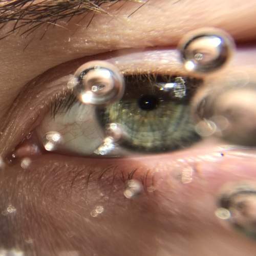 Photo #9076012