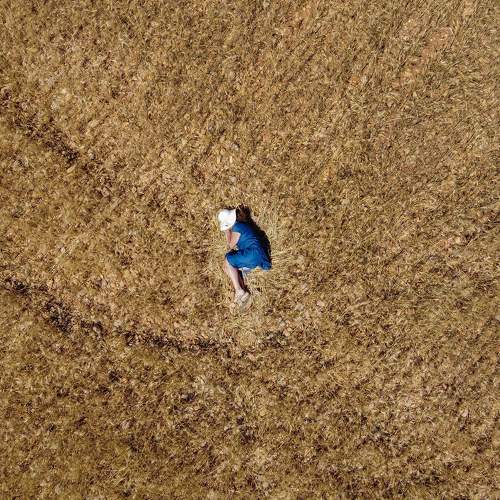 Sleeping in the wheat