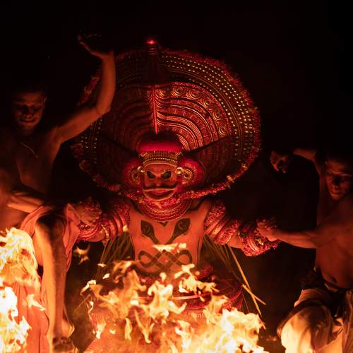 Photo #9077812